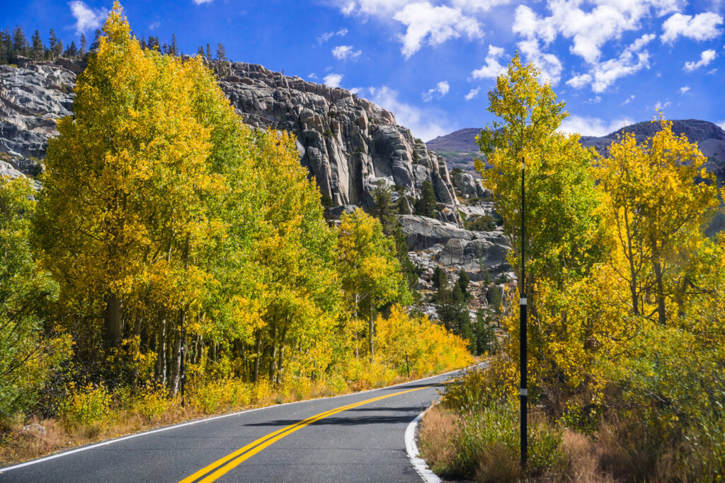 Road going through the Sierra mountains, California fall colors near sonora pass
