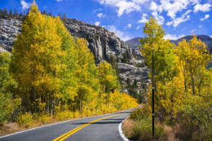 fall colors near sonora pass