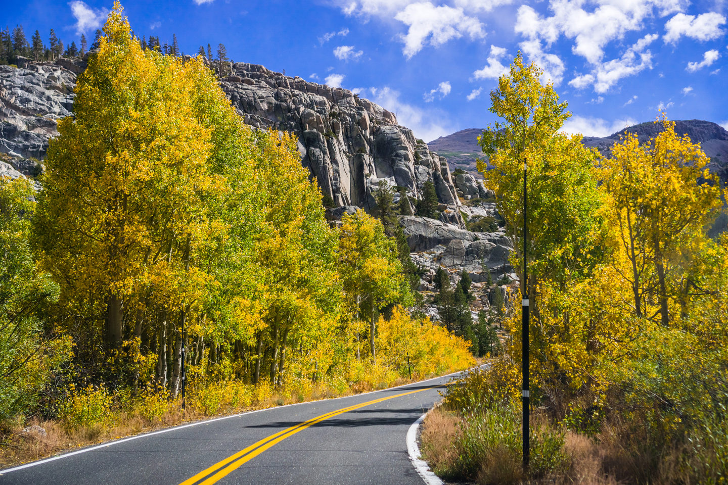fall colors near sonora pass