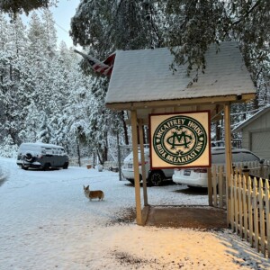 snow at mccaffrey house pet friendly bed and breakfast