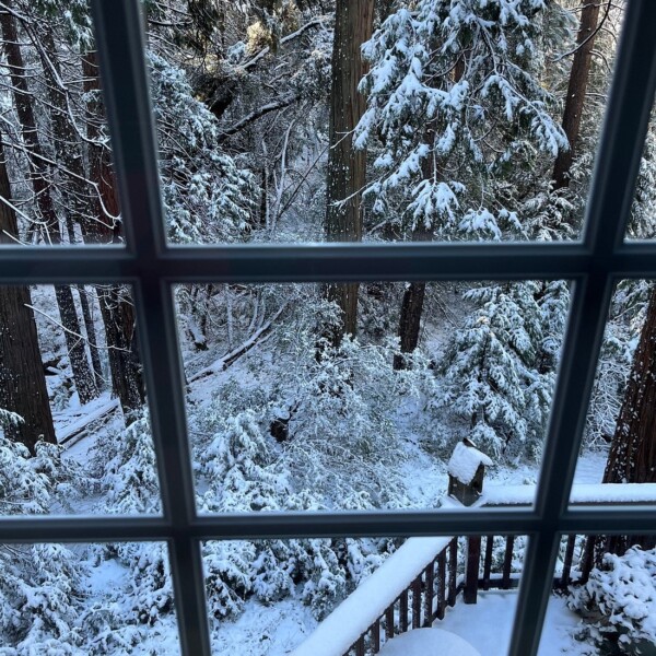 snowy scene out the window at mccaffrey house