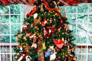 mccaffrey house christmas tree
